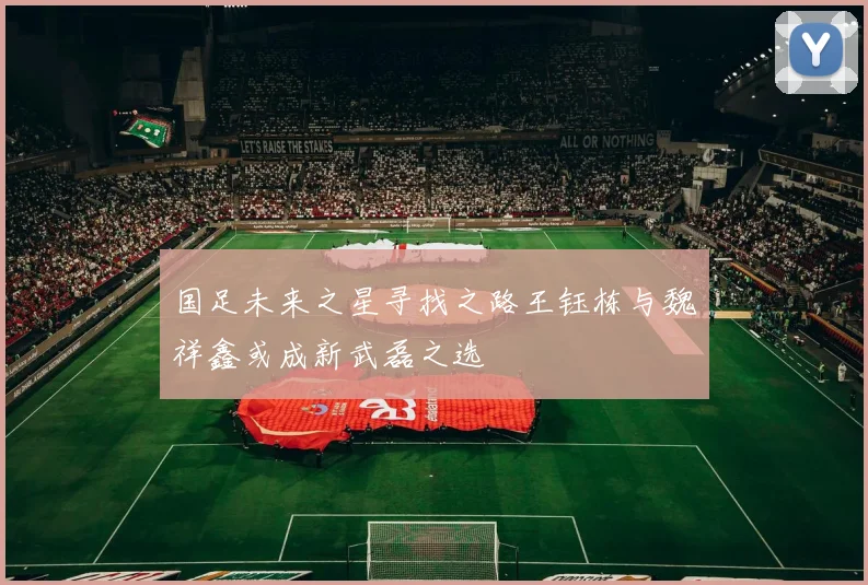 国足未来之星寻找之路王钰栋与魏祥鑫或成新武磊之选